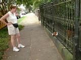 dog and cast iron fence