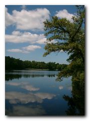 Southern New Jersey - Lake Nummy