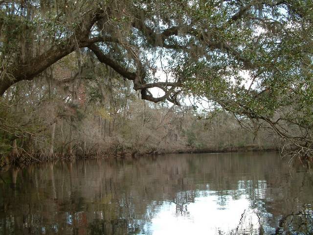 ERT 2006 FLORIDA River Rise State Park