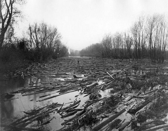 Red River Log Jam Red River Log Jam