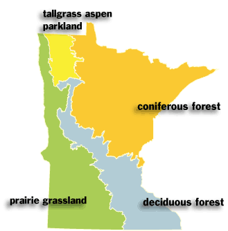 Minnesota’s biomes