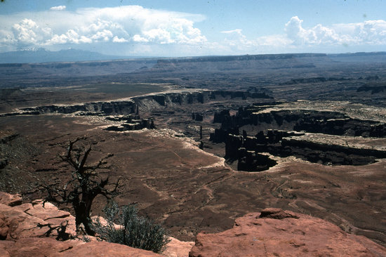 View from Island in the Sky Campground, Canyonlands National Park