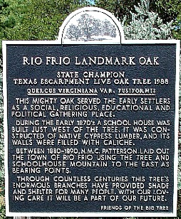 National Champion Texas Live Oak, Rio Frio, Real County, Texas