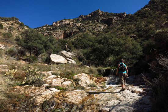Photo by Mike Breiding - Click for larger image - Relocation Updates, Photo Sampler of Tucson area hikes and our new Winter Retreat