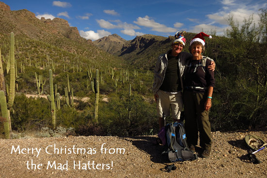 Merry Christmas from the Mad Hatters!