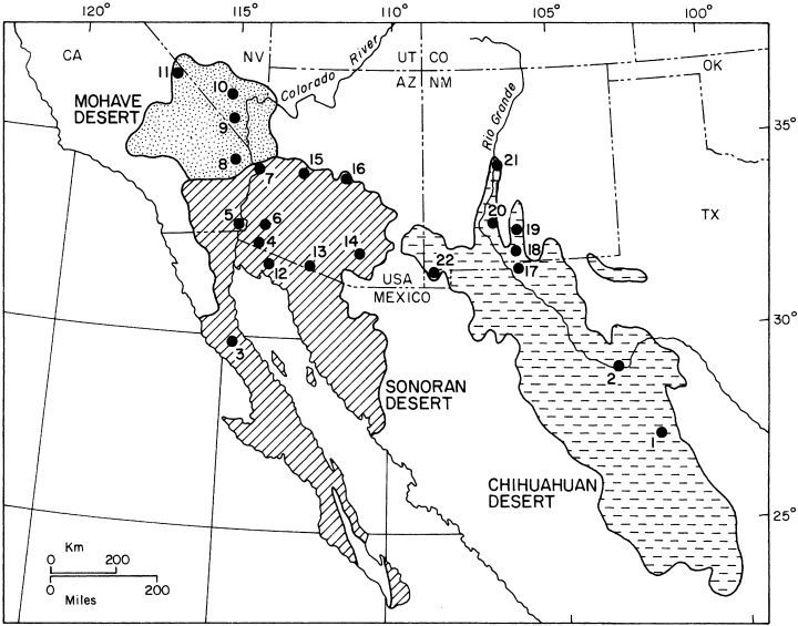map-of-the-chihuahuan-sonoran-and-mohave-deserts-of-north-america