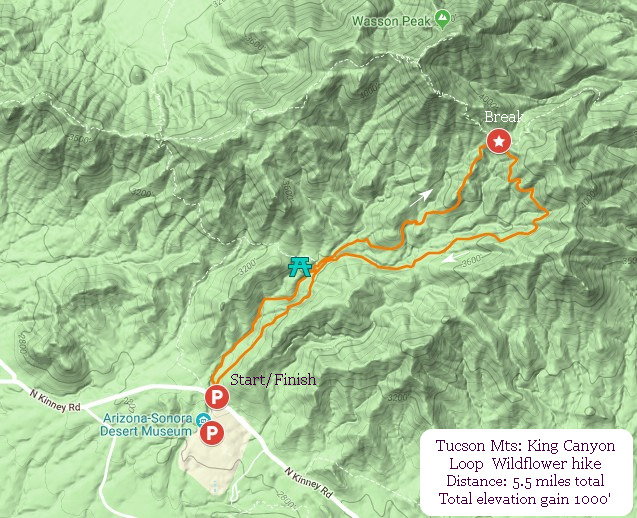 Location of King Canyon Wildflower Hike