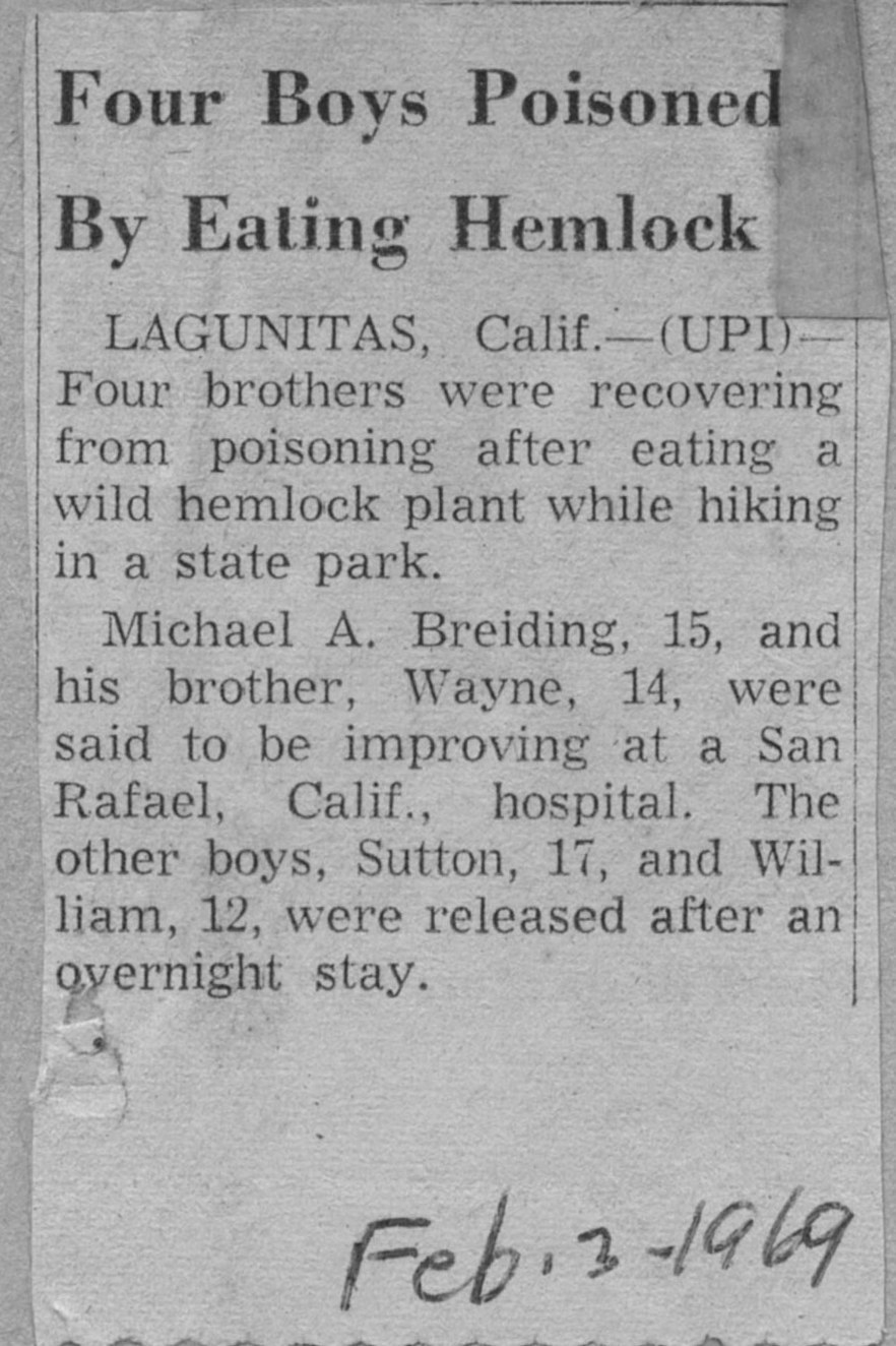 upi_feb_1969_four-boys-poisened-by-eating-hemlock
